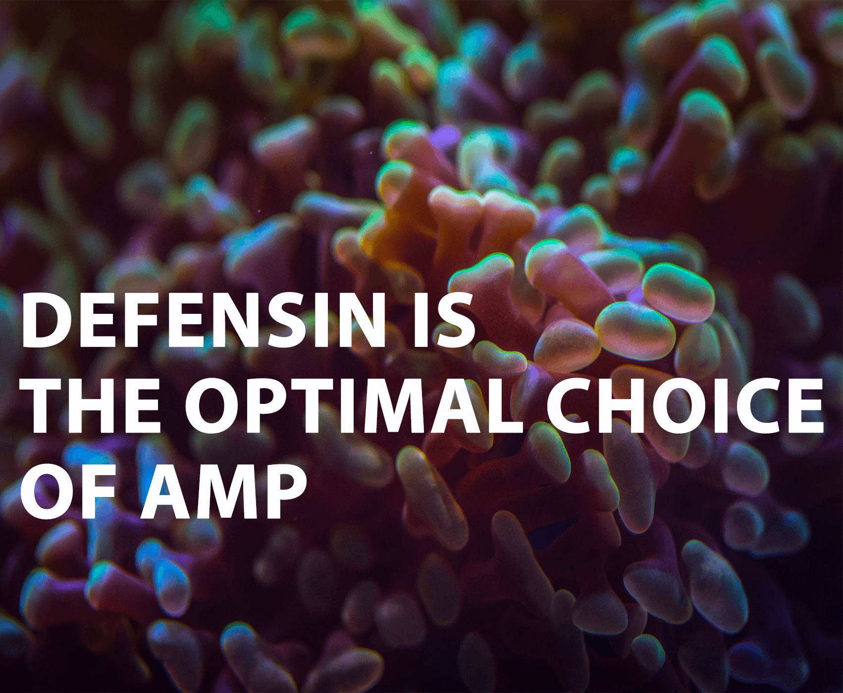 Defensin is the Optimal Choice of AMPs