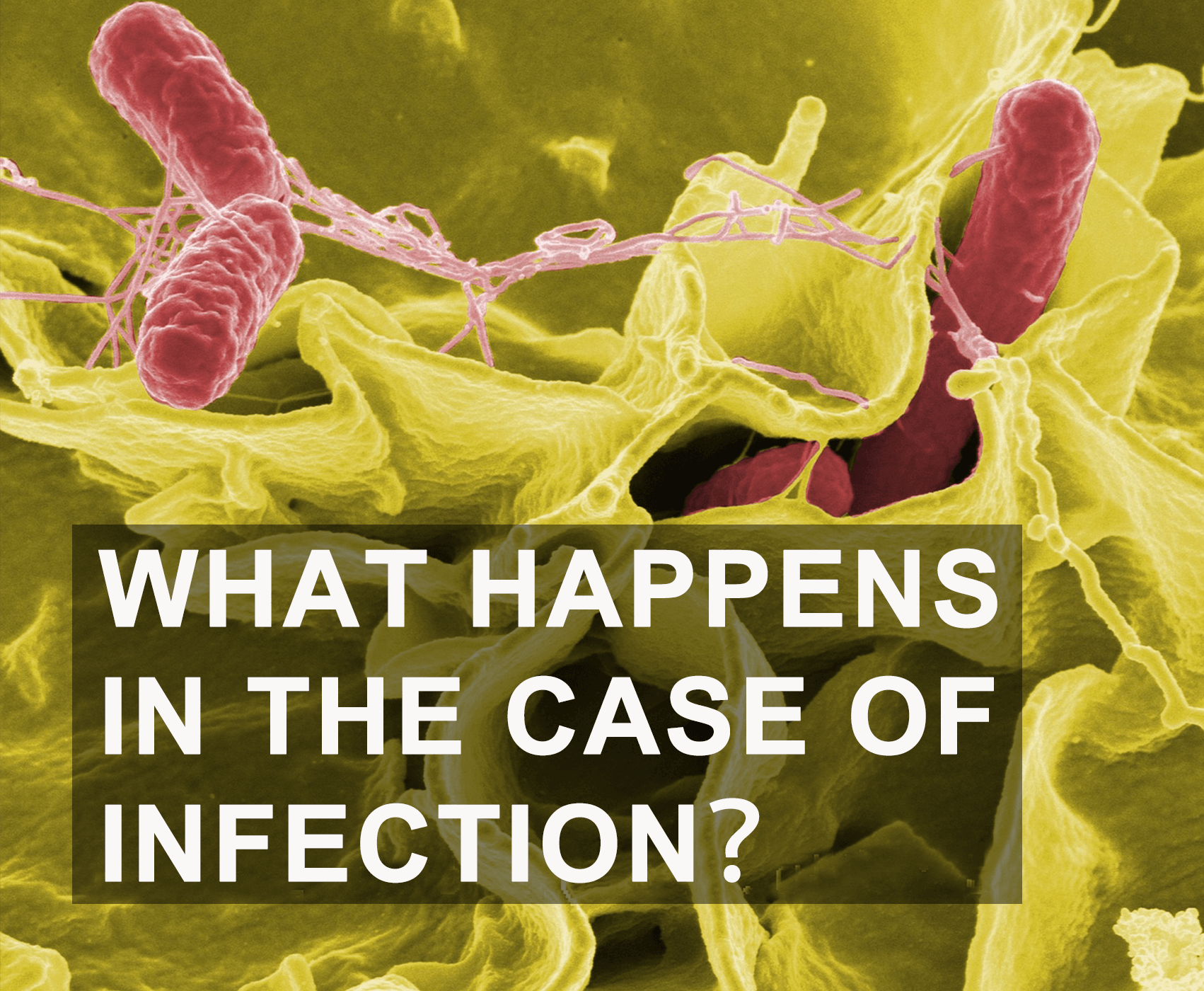 What Happens in the Case of Infection？
