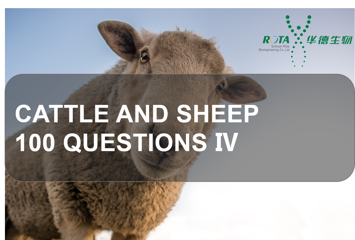 Cattle and Sheep 100 Questions Ⅳ