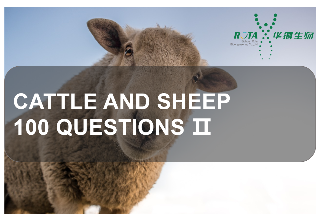 Cattle and Sheep 100 Questions  Ⅱ