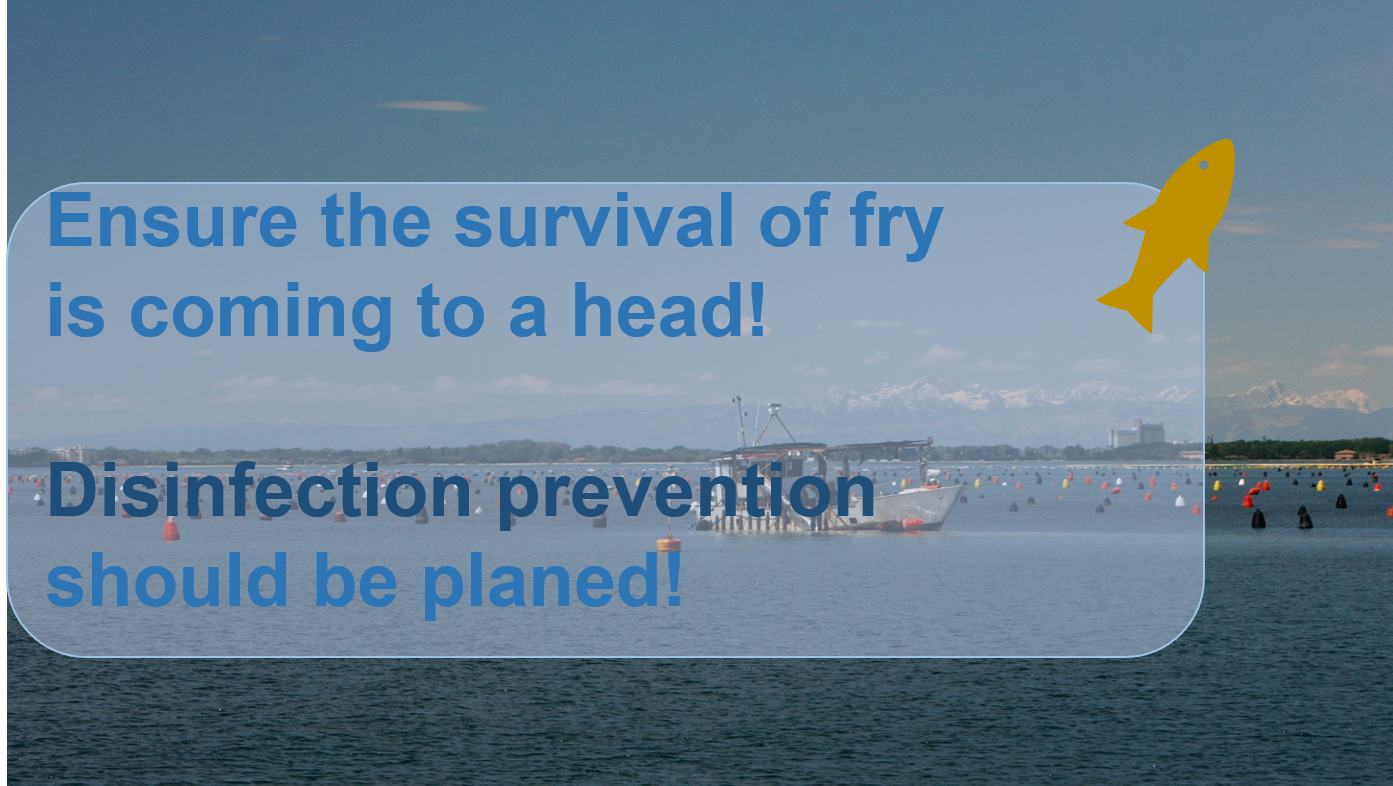 Ensure the survival of fry is coming to a head! Disinfection prevention should be planed!