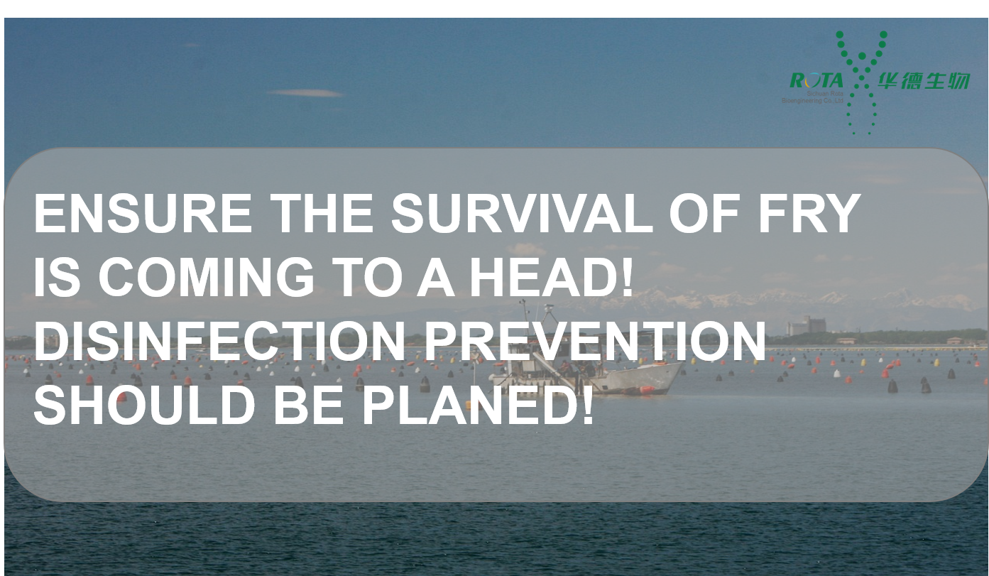 Ensure the survival of fry is coming to a head! Disinfection prevention should be planed!