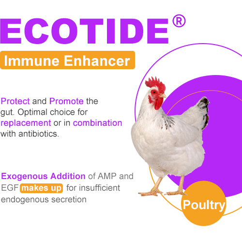 Ecotide (Poultry）