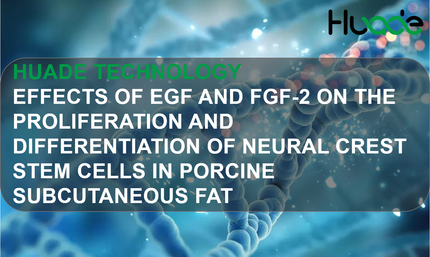 Huade Technology丨Effects of EGF and FGF-2 on the Proliferation and Differentiation of Neural Crest Stem Cells in Porcine Subcutaneous Fat