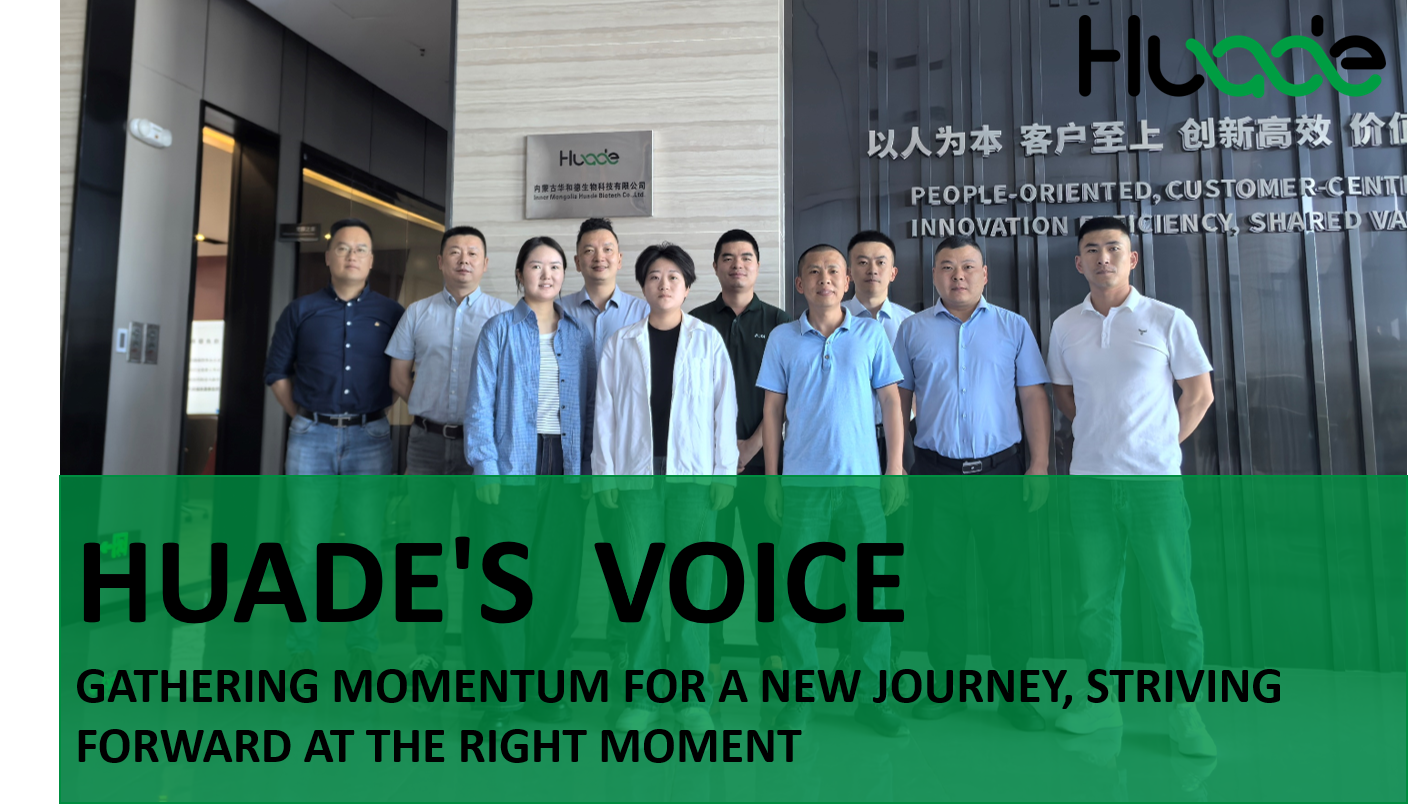 HUADE VOICE | Gathering Momentum for a New Journey, Striving Forward at the Right Moment