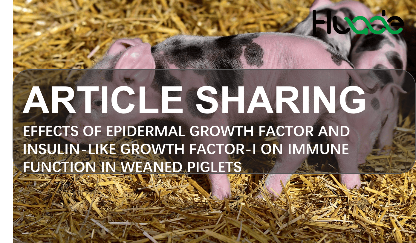 Effects of Epidermal Growth Factor and Insulin-like Growth Factor-Ⅰ on Immune Function in Weaned Piglets