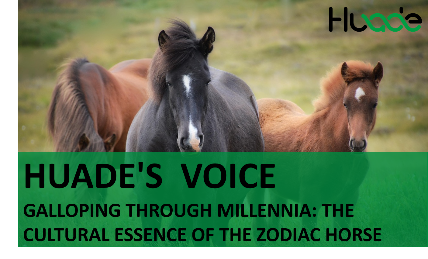 HUADE VOICE| Galloping Through Millennia: The Cultural Essence of the Zodiac Horse
