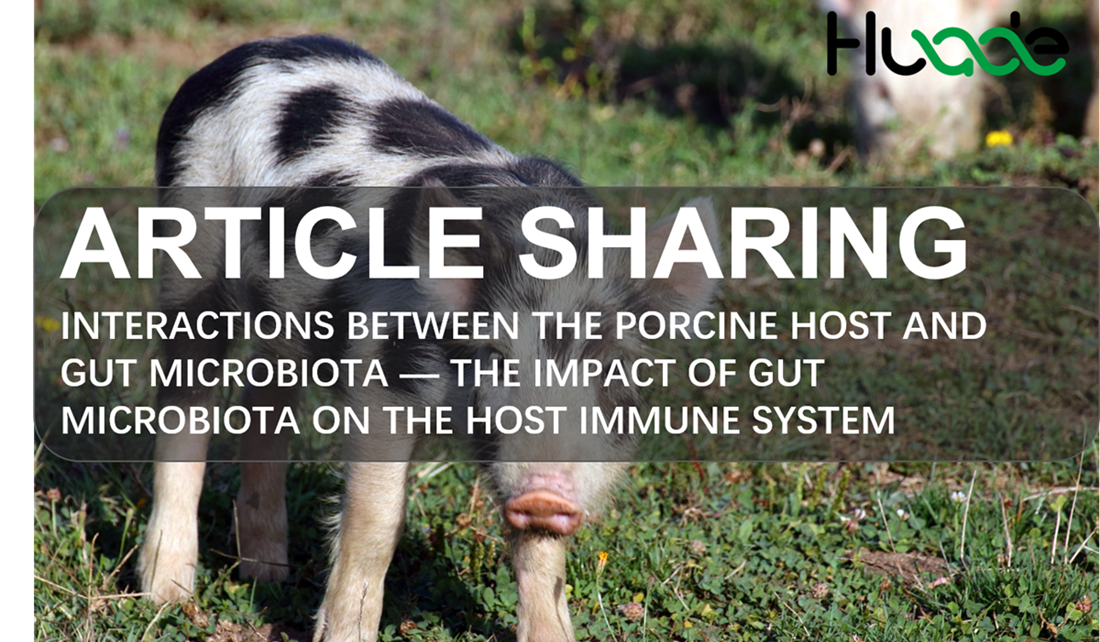 Article Shareing | Interactions Between the Porcine Host and Gut Microbiota — The impact of gut microbiota on the host immune system