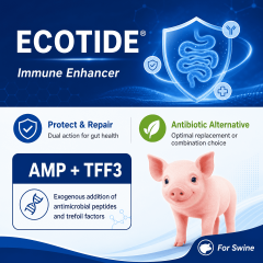 Ecotide（Swine）