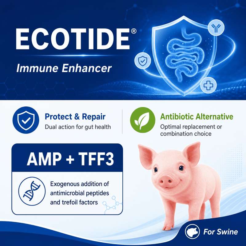 Ecotide（Swine）
