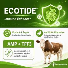 Ecotide（Ruminant）