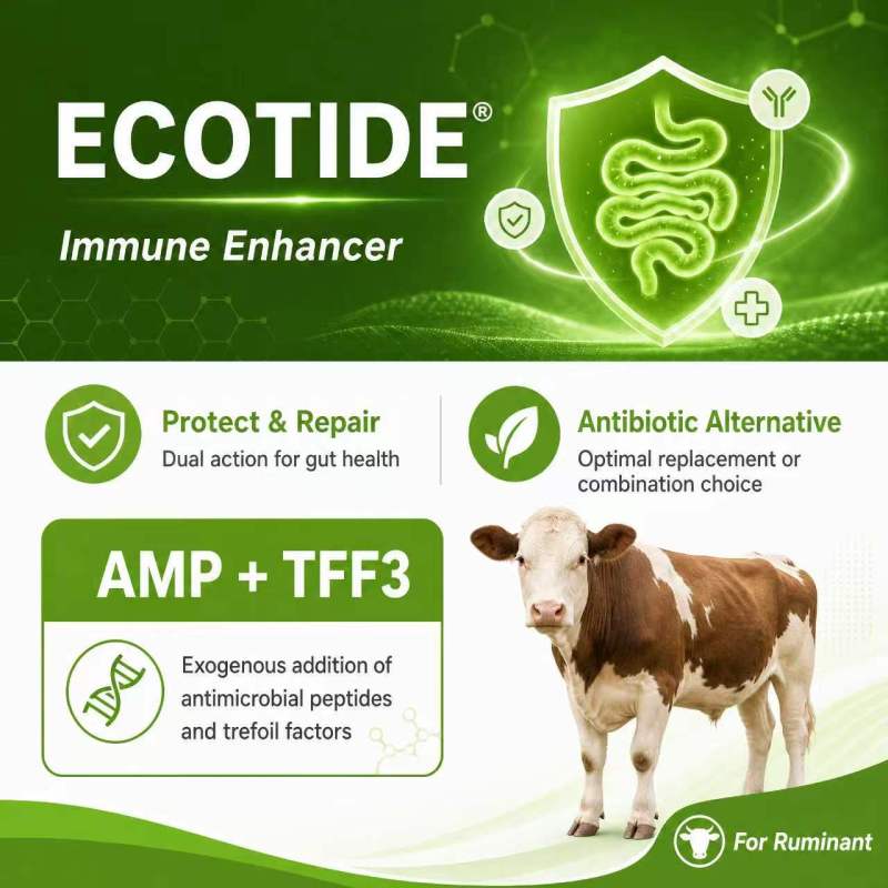 Ecotide（Ruminant）