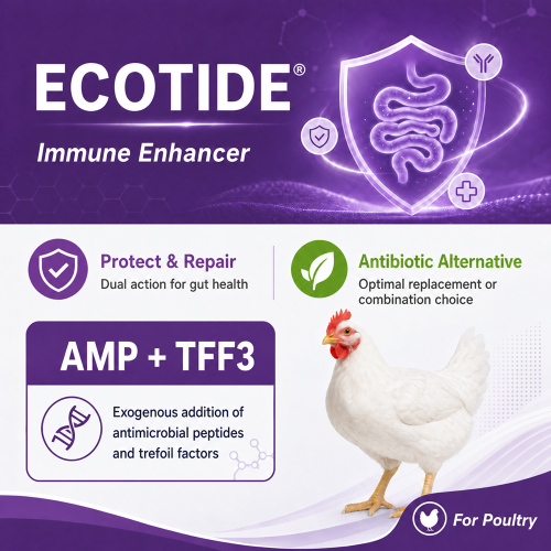 Ecotide（Poultry）