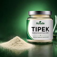Tipek（Ruminant）
