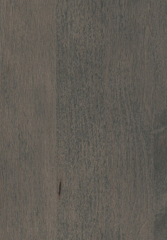 MPS016 Maple