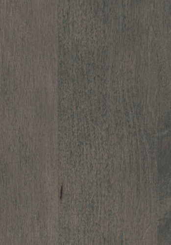 MPS016 Maple