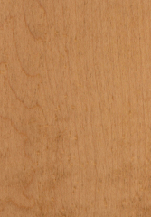 MPS012 Maple