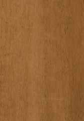 MPS015 Maple