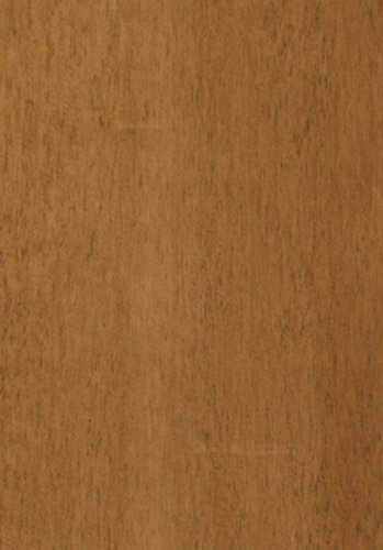 MPS015 Maple
