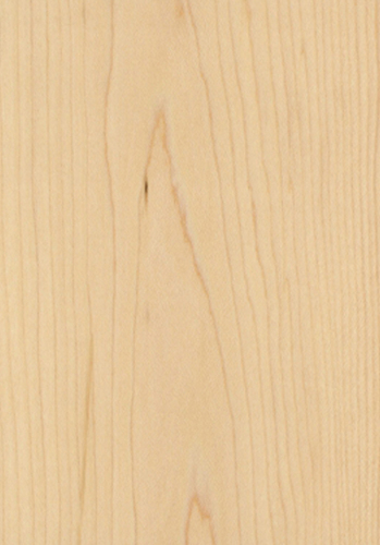 MPS021 Maple