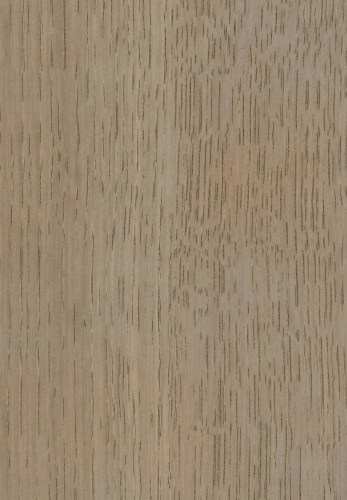 QSW020 Quarter Swan White Oak