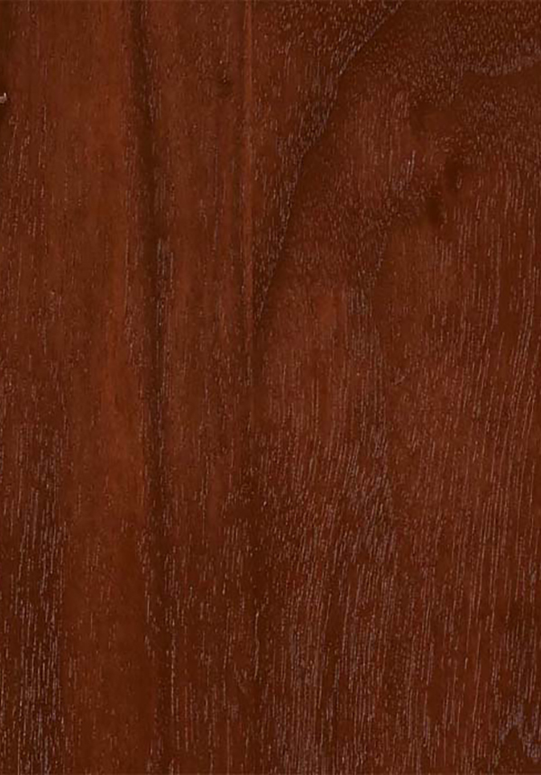 BVS015 Black Walnut