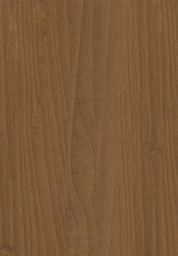 European Walnut