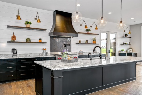 Unionlands Cabinetry Black Slab Panel Kitchen Cabinet and White Shaker Top Cabinet