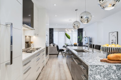 Unionlands Cabinetry White Matte Lacquer Painted With Black Quartz Countertop Waterfall
