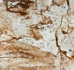 Unionlands Cabinetry Roma Imperiale Quartzite For Kitchen Countertops Suppliers