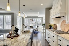 Unionlands Cabinetry White Painted Shaker Panel Kitchen Cabinet With Solid Wood Stain Granite Countertop Island