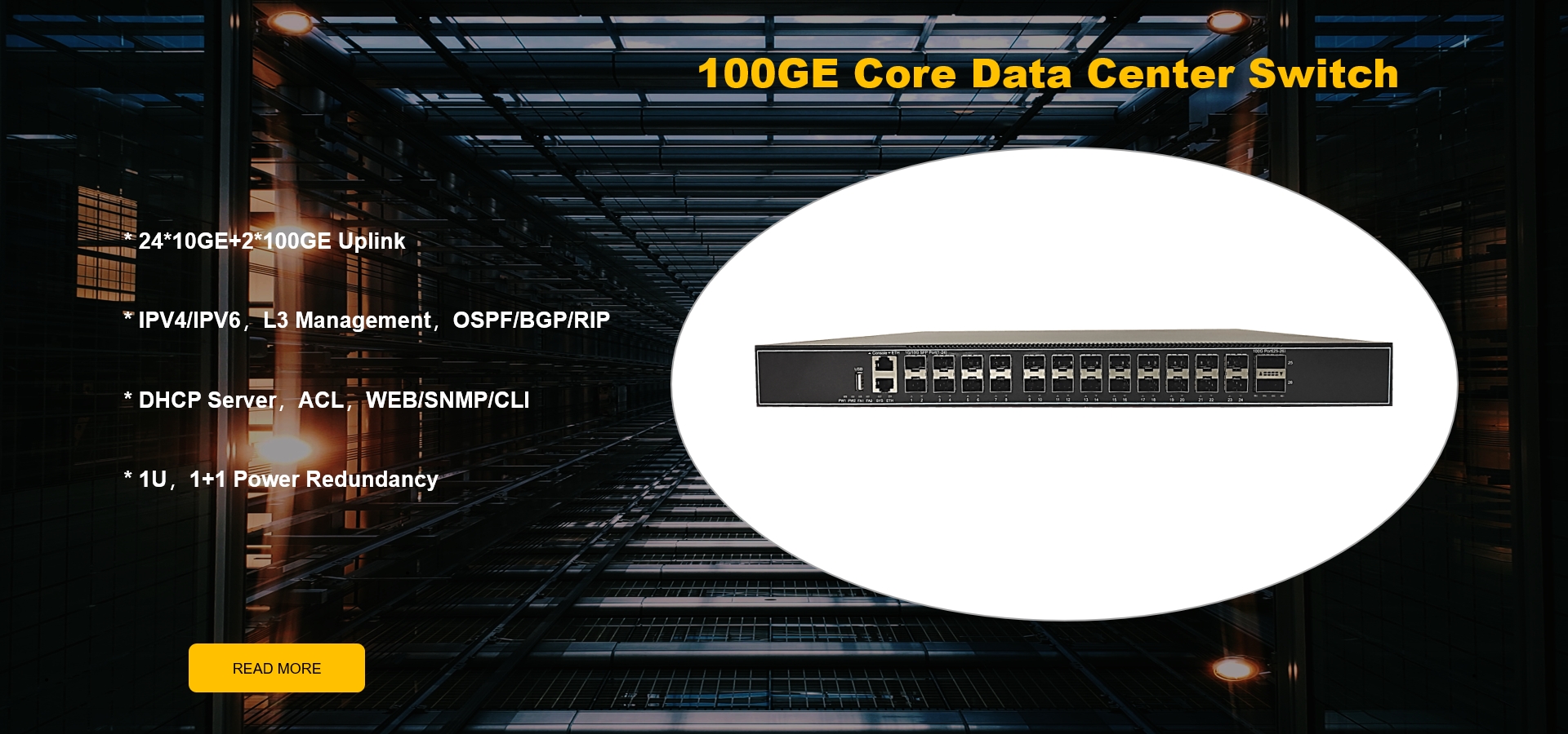 Lycom 100G Ethernet Switch