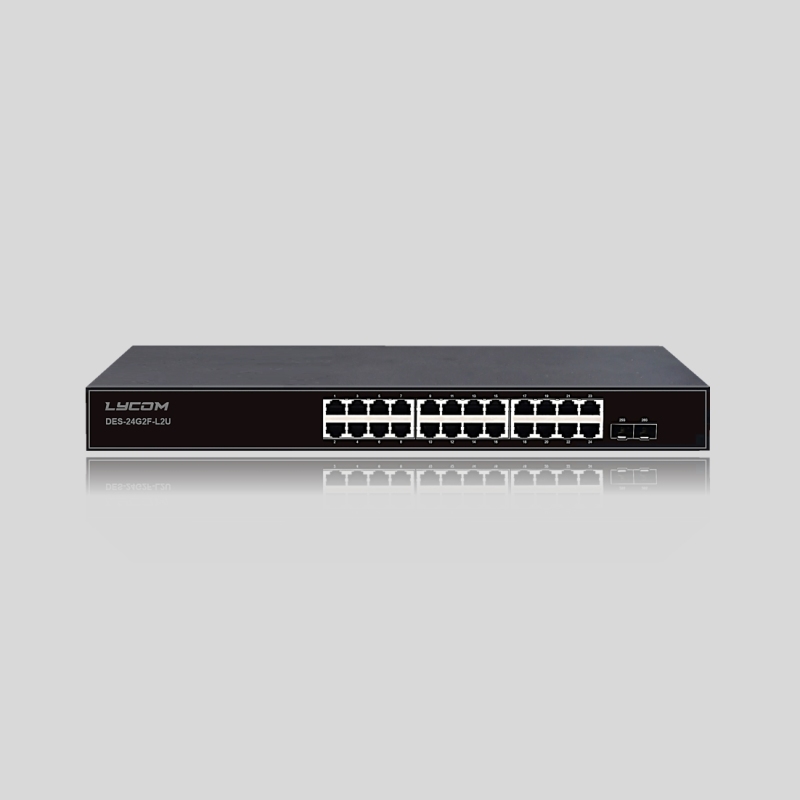 Lycom Switches DES-24G2F-L2U（24GE+2GE SFP-Unmanaged）