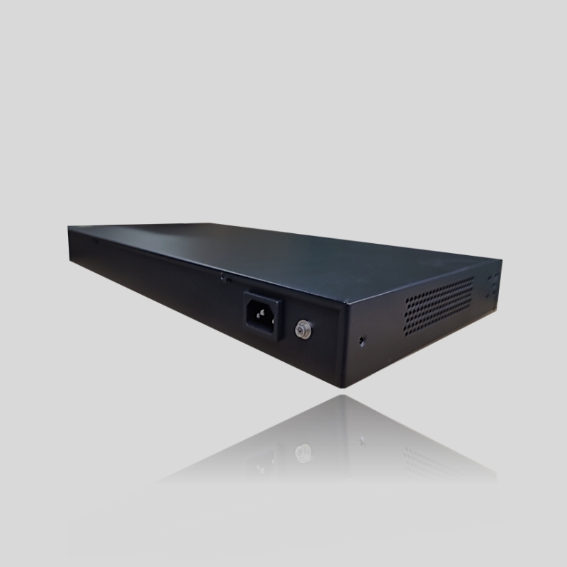 Lycom Switches DES-24G4GC-L2（24GE+4GE Combo）