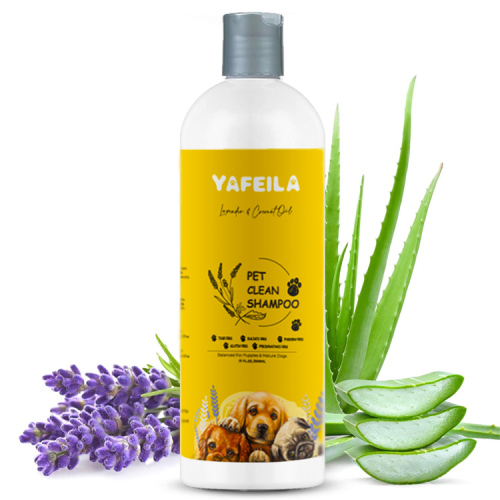 Oatmeal Coconut Dog Shampoo