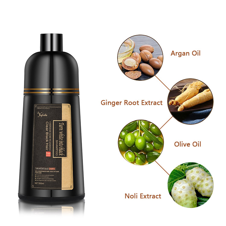 Argan Oil Black Hair Coloring Shampoo