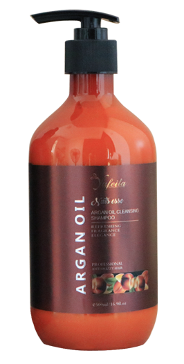 Moroccan Argan Oil Shampoo and Conditioner