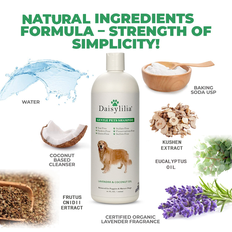 Gentle Organic Pet Shampoo