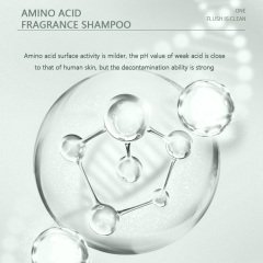 Tea Tree Peppermint Shampo for Oily Hair