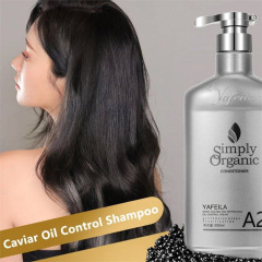 Caviar Restructuring Repair Shampoo and Conditioner