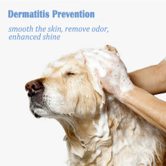 Oatmeal Anti-Itch Dog Shampoo & Conditioner