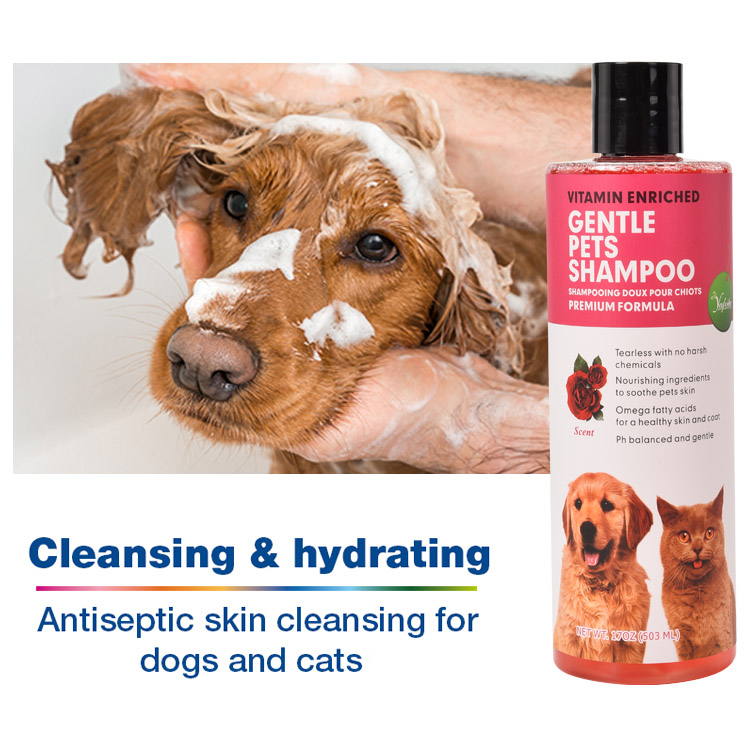 Bulk 4-in-1 Calming Pet Shampoo for Dogs