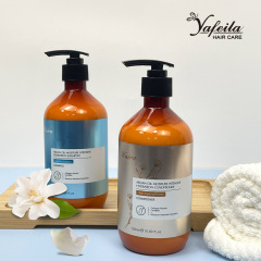 Organic Moroccan Argan Oil Shampoo and Conditioner Set