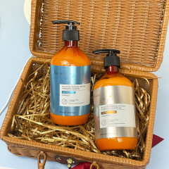 Organic Moroccan Argan Oil Shampoo and Conditioner Set