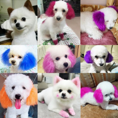 Private Label Permanent Dog Hair Dye 20 Colors Safely Pet Bright Color Dye Used by Grooming Salons for Dogs