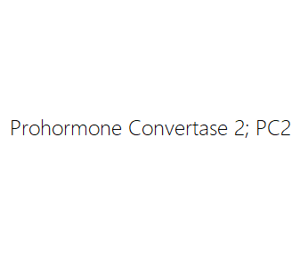 Prohormone Convertase 2 PC2 CAS: PC2