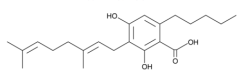 CBGA Cannabigerolic Acid CAS: 25555-57-1