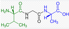 Oligopeptide-2 CAS: Oligopeptide-2