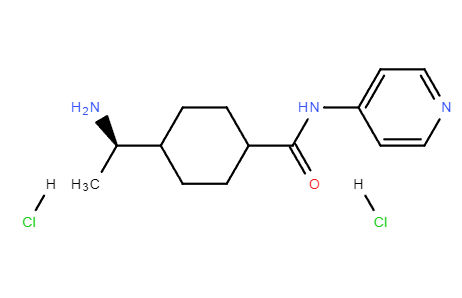 Y-27632 dihydrochloride Y27632 CAS: 129830-38-2