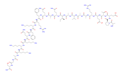 Camstatin CAS: 1002295-95-5